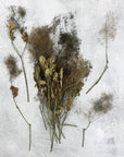 Smoke Bush | Olive Green | Dried Florals