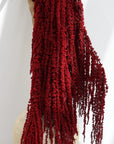 Burgundy Amaranthus | Preserved Florals