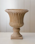 Aged Terra Cotta Florentine Urn