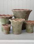 Aged Terra Cotta Scallop Planter