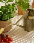 The Rowley Ripple | Lichen 2 Pint Steel Watering Can