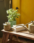 The Rowley Ripple | Lichen 2 Pint Steel Watering Can