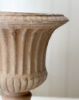 Aged Terra Cotta Florentine Urn