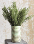 Oasis Green Stoebe | Preserved Florals