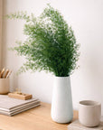 Sprengeri Fern | Preserved Florals