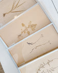 Pressed Flower Botanical Framed Art | C1940s from France