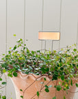 Copper Garden Markers