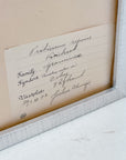 Pressed Flower Botanical Framed Art | C1940s from France