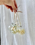 Preserved Botanical Christmas Ornament