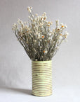 Ammobium | Preserved Florals