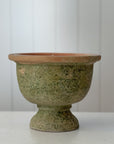 Aged Terra Cotta Copa Planter
