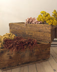 Vintage Wooden Crate | c.1930s Belgium