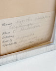 Pressed Flower Botanical Framed Art | C1940s from France