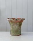 Aged Terra Cotta Scallop Planter