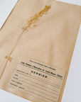 Matted Pressed Herbier Flower Art circa France
