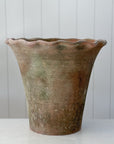 Aged Terra Cotta Scallop Planter