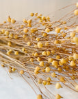 Centaurea Stems | Dried Florals