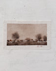 Daybreak No. 10 | Fine Art Linen Original Watercolor 5x7" | adbide art studio