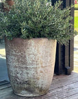 Provencial Outdoor Barrel Planter