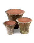 Aged Terra Cotta Piecrust Planter