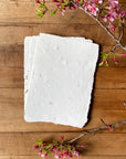 Handmade Sawdust Deckled Pressed Papier Sheets with Envelopes | Set of 6