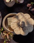 Ruffled Travertine Lidded Trinket Dish | Bone