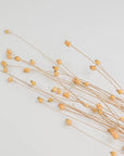 Centaurea Stems | Dried Florals