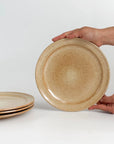 The Classic Collection | Klamath Wheat