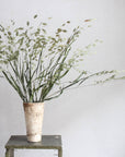 Sea Oats | Natural Green | Dried Florals