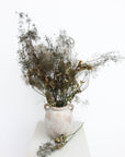 Smoke Bush | Olive Green | Dried Florals
