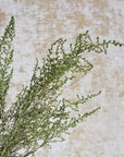 Oasis Green Stoebe | Preserved Florals