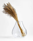 Chorao Grass | Dried Florals