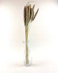 Hilander Grass – Natural Dried Brown & Green Stems