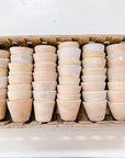 Le Petite Pot