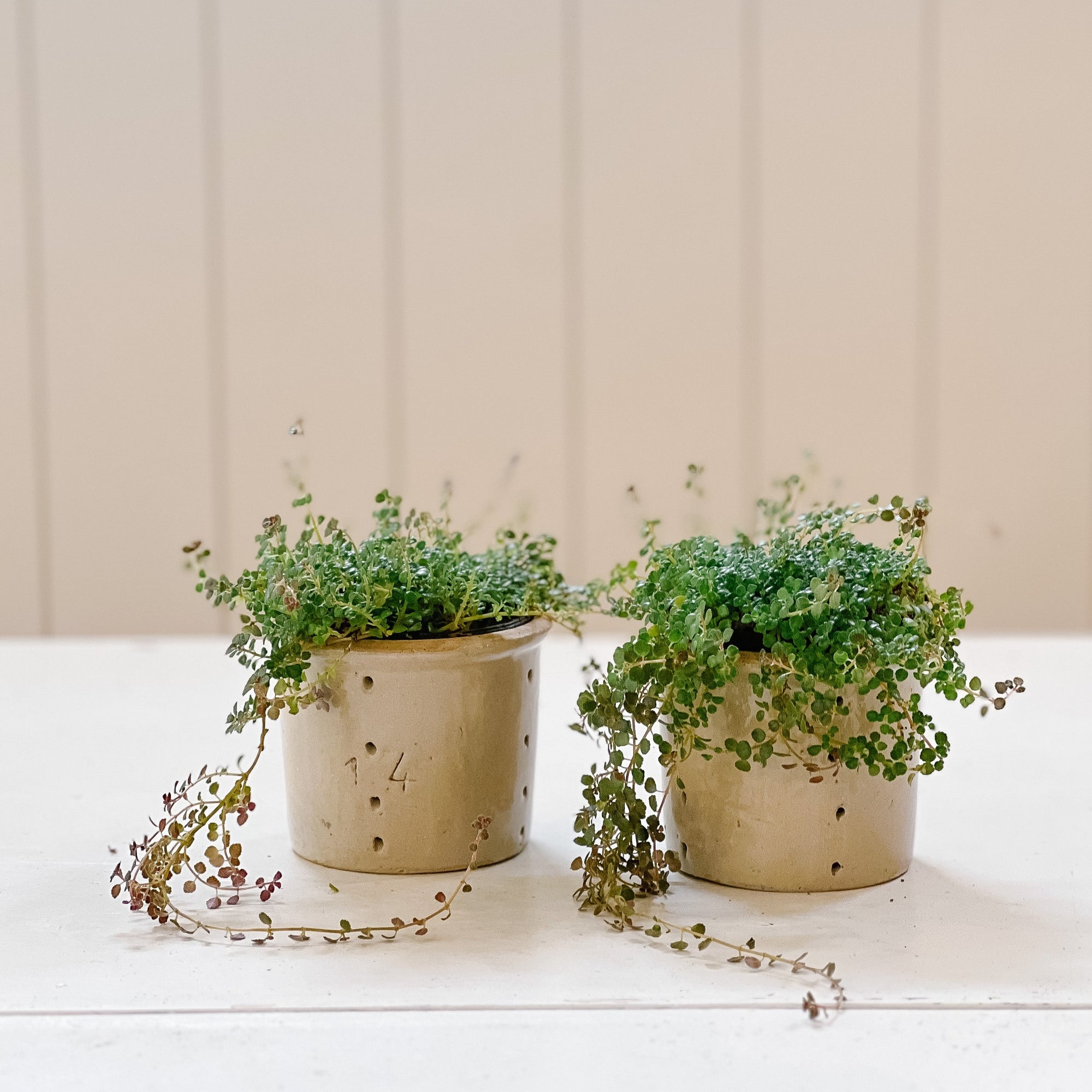 Assorted Vintage French Faisselles Pots | Natural Beige & Grey
