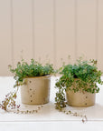 Assorted Vintage French Faisselles Pots | Natural Beige & Grey