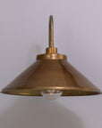 Nessa Swan Neck Outdoor Wall Sconce