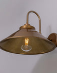 Nessa Swan Neck Outdoor Wall Sconce