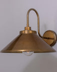 Nessa Swan Neck Outdoor Wall Sconce
