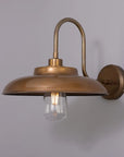 Declan Swan Neck Outdoor Wall Sconce