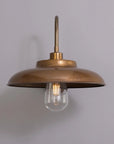 Declan Swan Neck Outdoor Wall Sconce