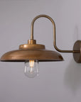 Declan Swan Neck Outdoor Wall Sconce