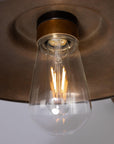 Declan Swan Neck Outdoor Wall Sconce