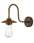 Rye Swan Neck Outdoor Wall Sconce