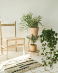Juniper Chair