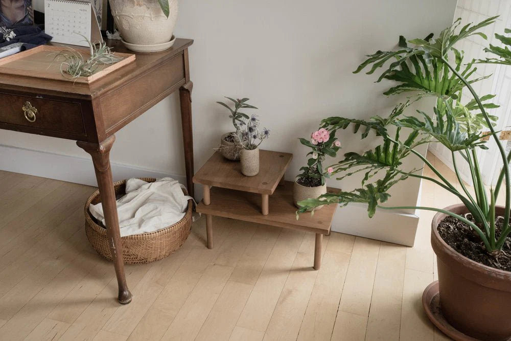 Yucca Stand