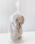 Spanish Moss