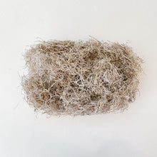 Load image into Gallery viewer, Natural Spanish Moss
