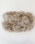 Spanish Moss