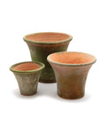 Aged Terra Cotta English Planter | Tall